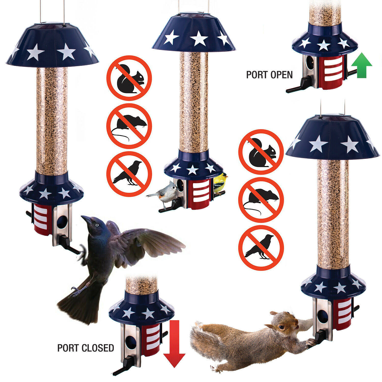 Squirrel Proof Wild Bird Feeder - Mixed Seed / Sunflower Heart Version - 0DACK3_HOCK