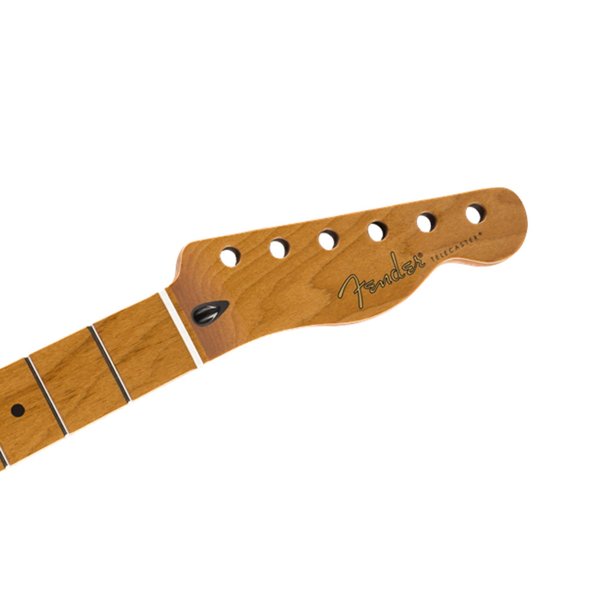 Fender Roasted Maple Telecaster EDRIE9_L1CG