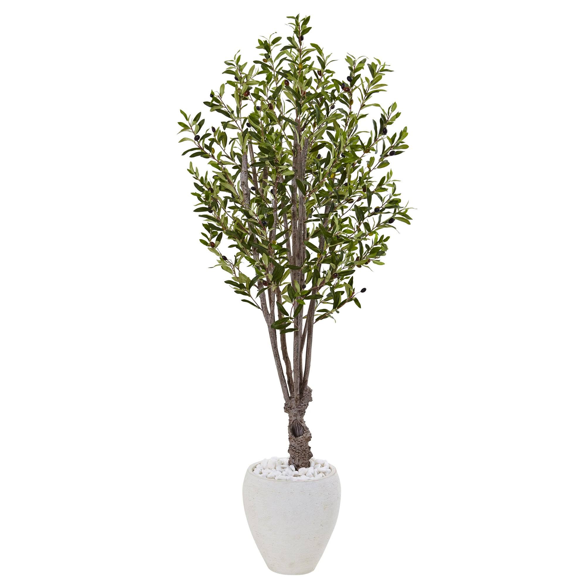 Nearly Natural 5-Foot Olive Tree in White Oval 0YVH2I_9YI1