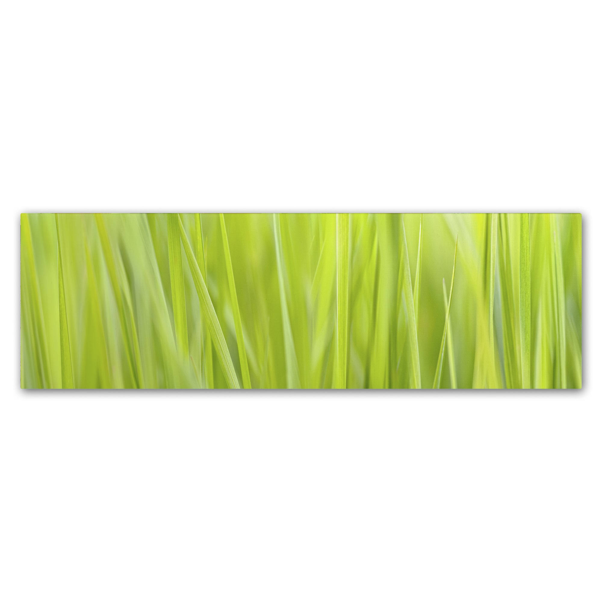 Trademark Fine Art Ali1847-C1032Gg Cora Niele 'Green Grass Scape' DWY552_ZCAF