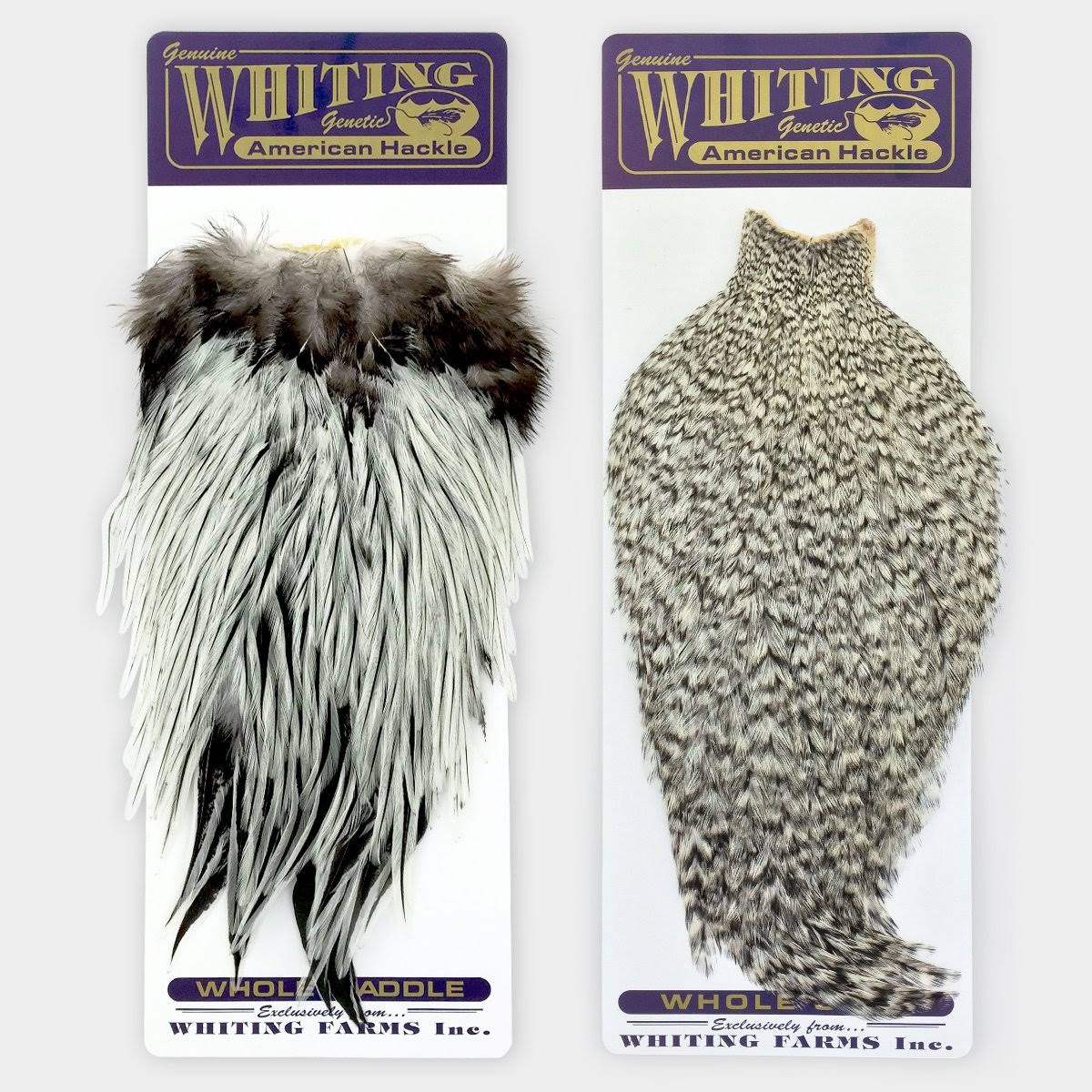 Whiting Farms | American Rooster Cape - Grizzly Dyed XFDEZM_TCRE