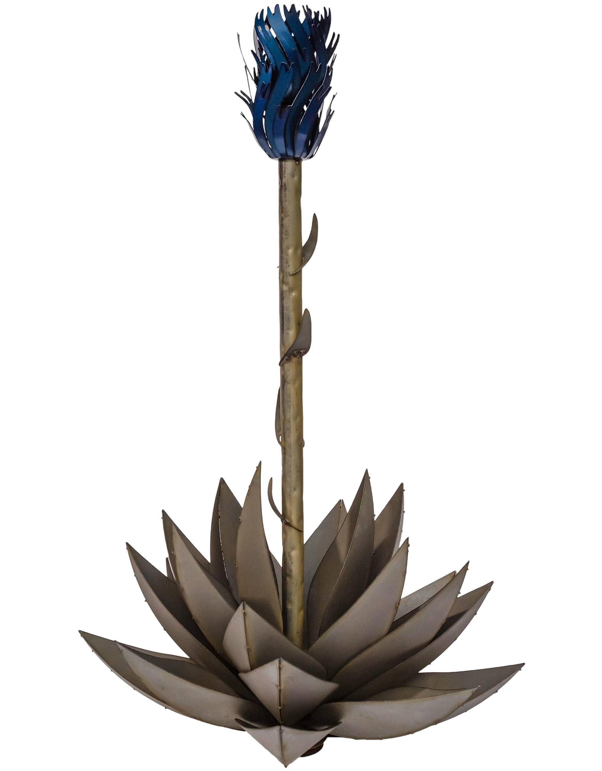 Desert Steel Small Blue Agave AOTBWI_DLI0