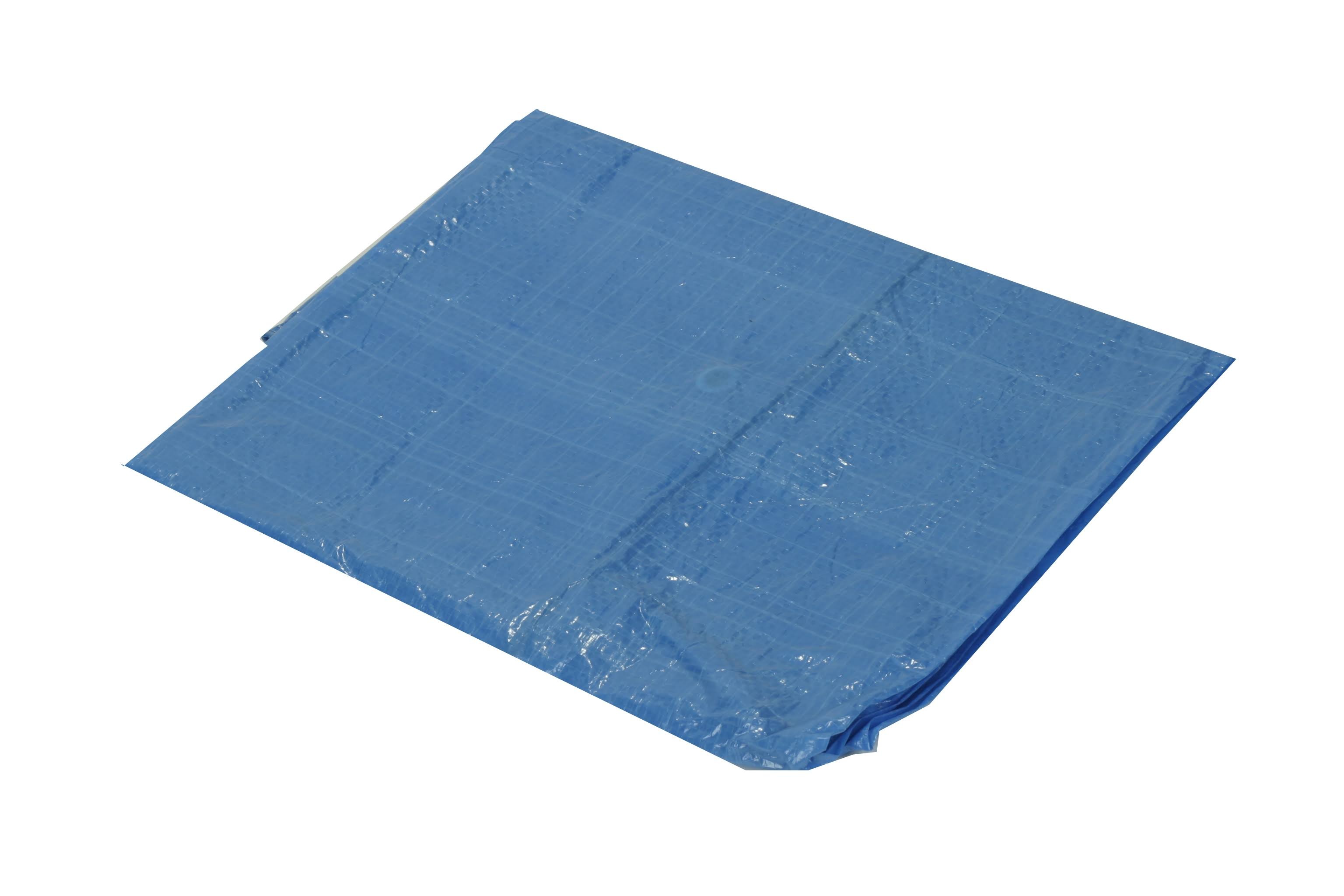 24' x 30' Blue Tarp - 2.9 oz. PMBLNH_7G24