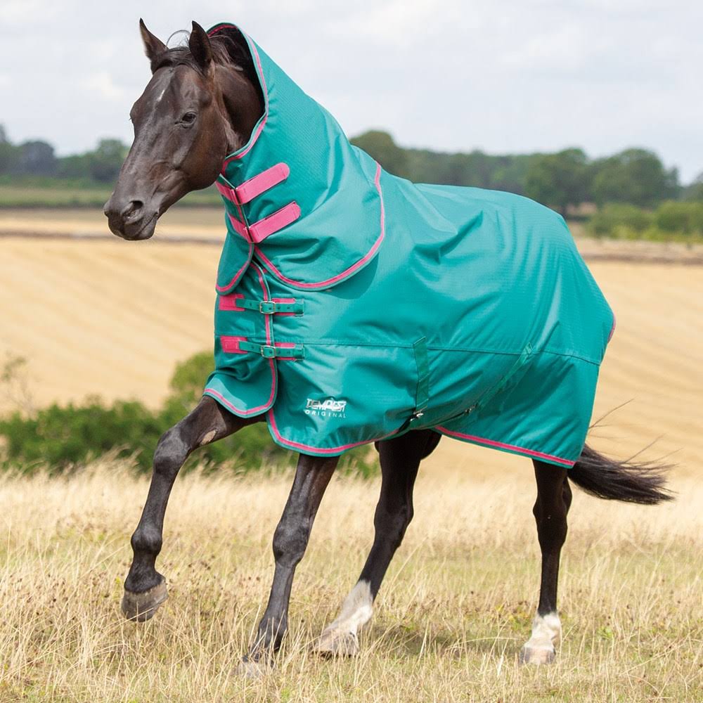 Shires Tempest Original 100 Detachable Neck Turnout Rug - Green/3UJGBI_MYHW
