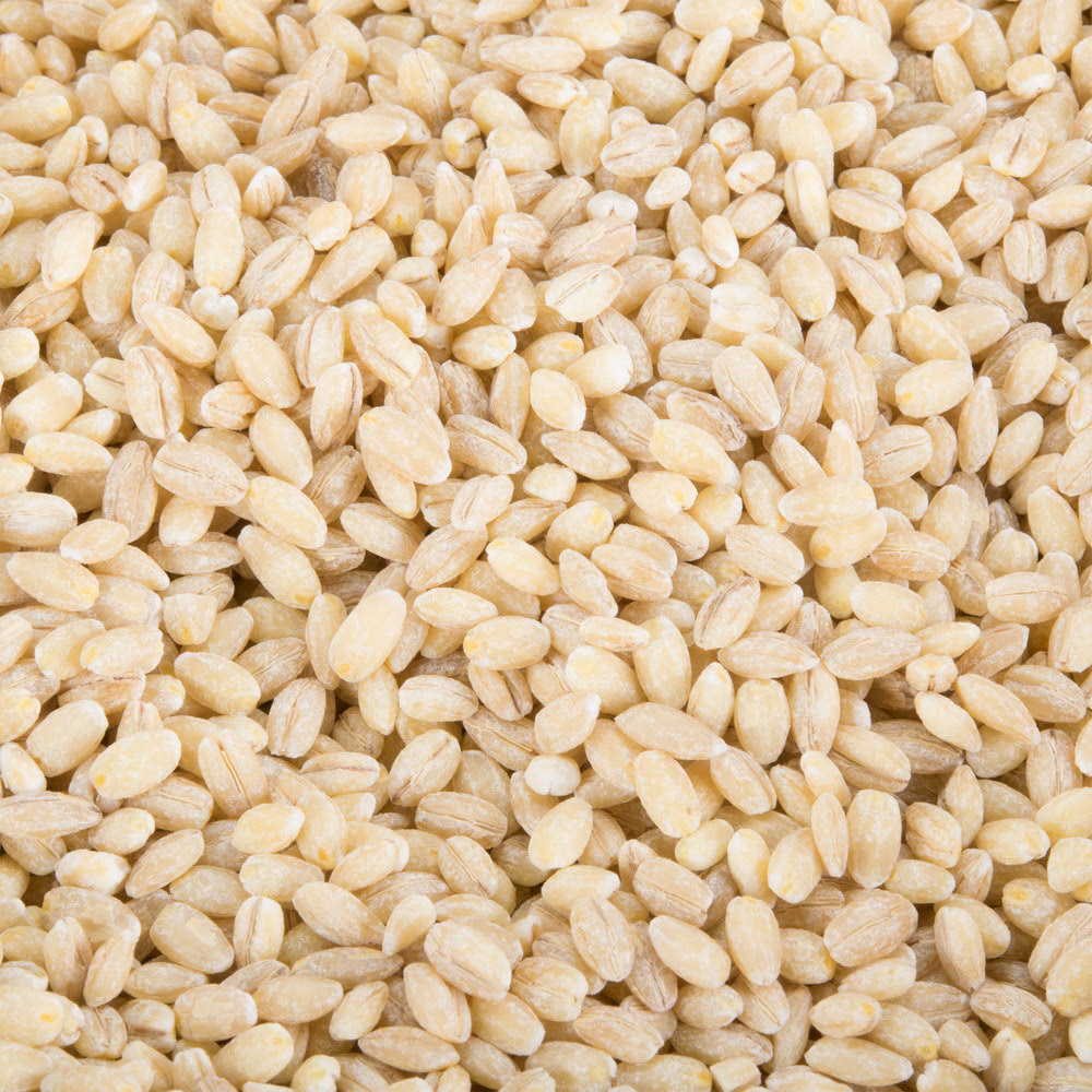 TG Dried Whole Pearl Barley - 20 lb. 7FLUQN_FZ5M