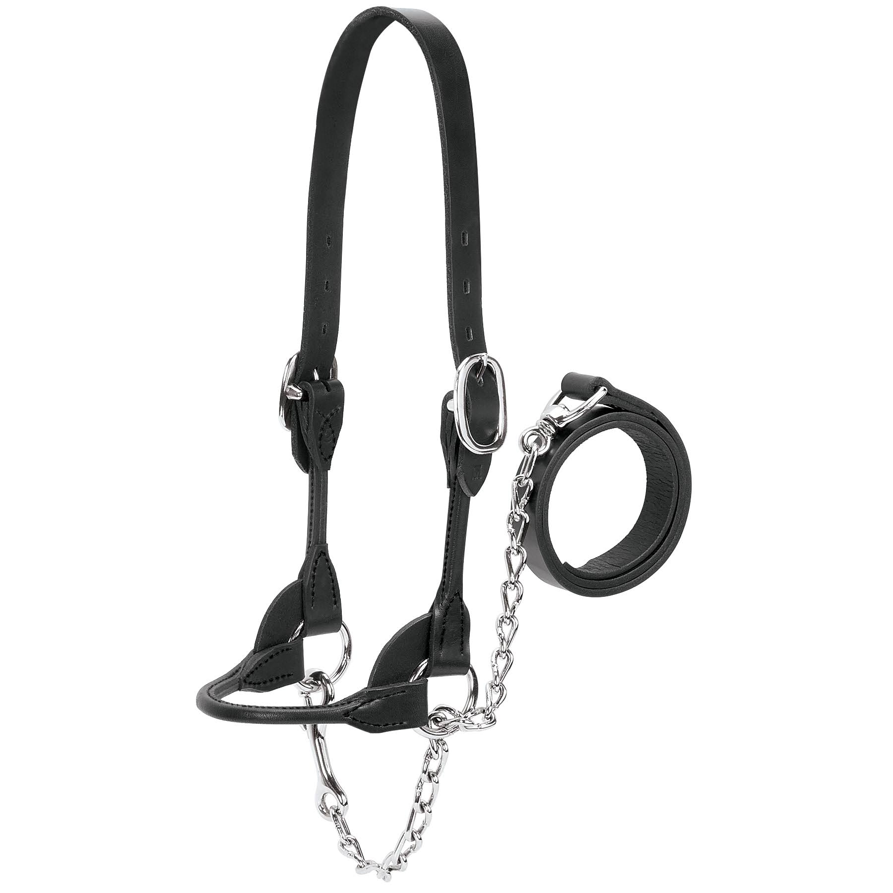 Weaver Leather Dairy/Beef Rounded Show Halter Black UN3GUQ_6OIQ