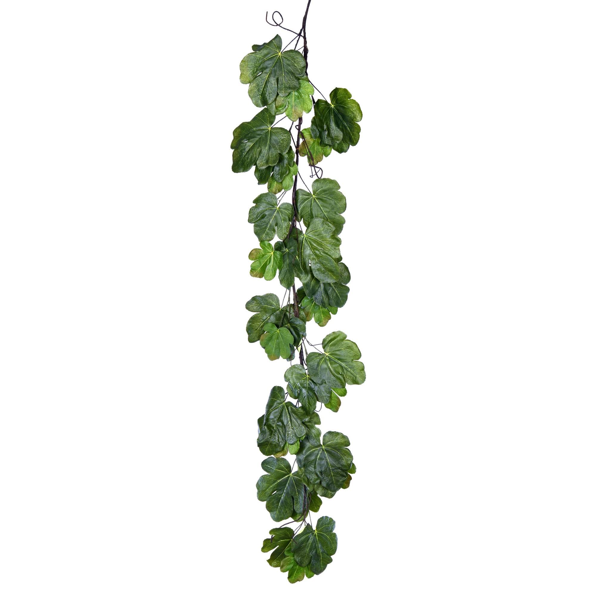 Vickerman FT190612 BYVQKU_6QPJ