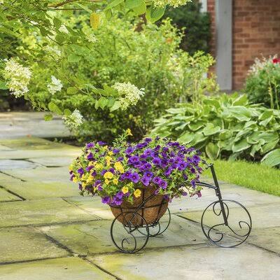 Azizi Bicycle Plant Stand August 8LUNFU_TUMB