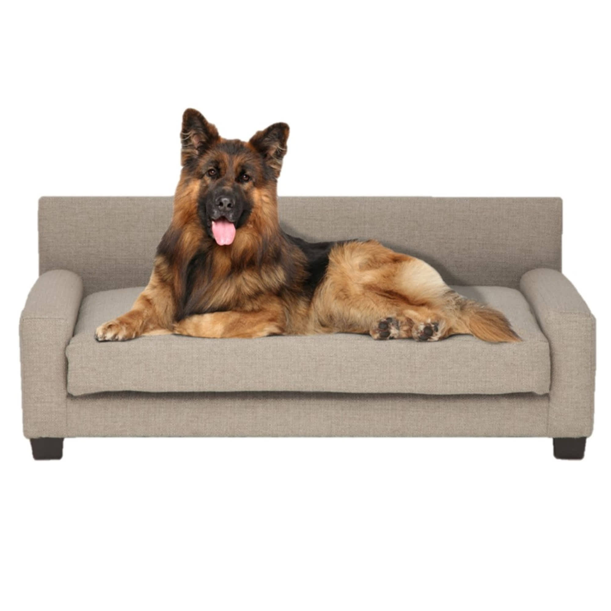 Club Nine Pets Metro Orthopedic Dog Bed, Large / GKAGBR_PIQX