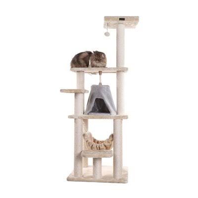 Archie Oscar 65'' Chance Cat EMJDQT_UXDG