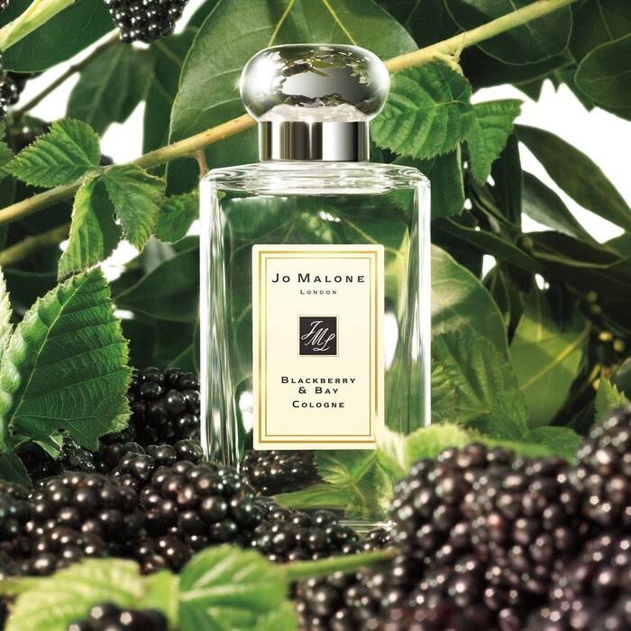 Jo Malone London Blackberry Bay Cologne 3.4 oz/ 100 ml QGRETX_8PBO