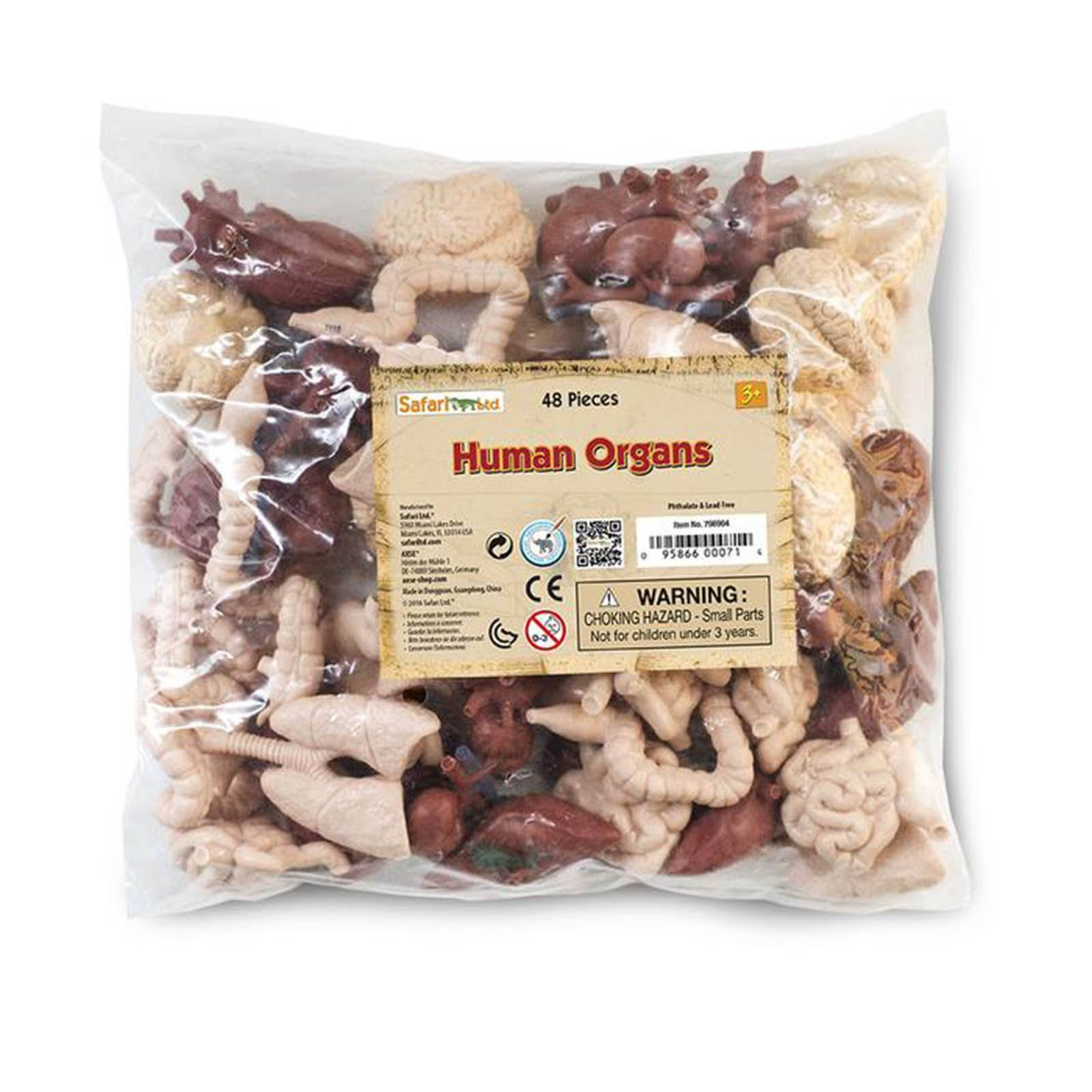 Human Organs Bulk Bag Figures Safari KPXRNJ_C3XW