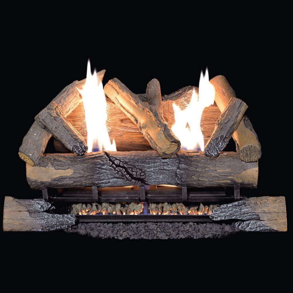 Duluth Forge Ventless Dual Fuel GAS Log Set - 24 in. Split Bark, 33,000 BTU, Remote Control - Model#Dls-24r-3, TCHYDH_7YZF