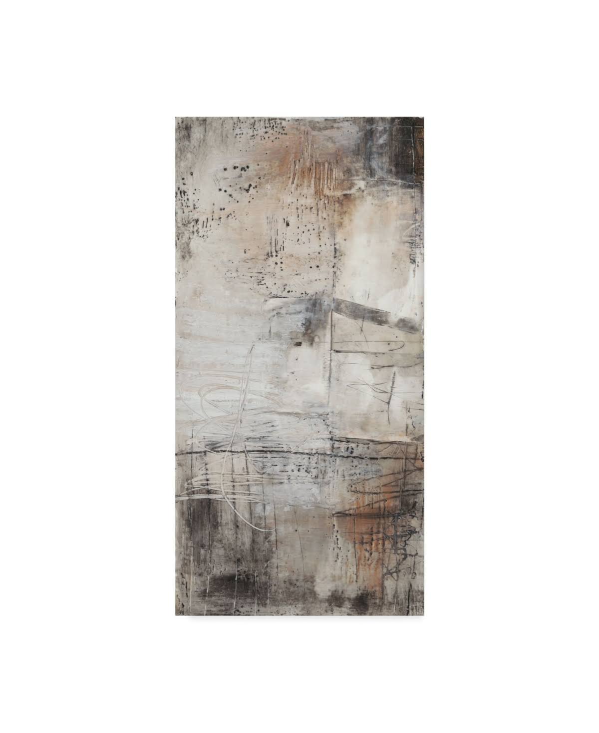Trademark Fine Art 'Black, White and Bronze I' Canvas Art by Jennifer Goldberger, Size 16 x ZVXX1L_OY30
