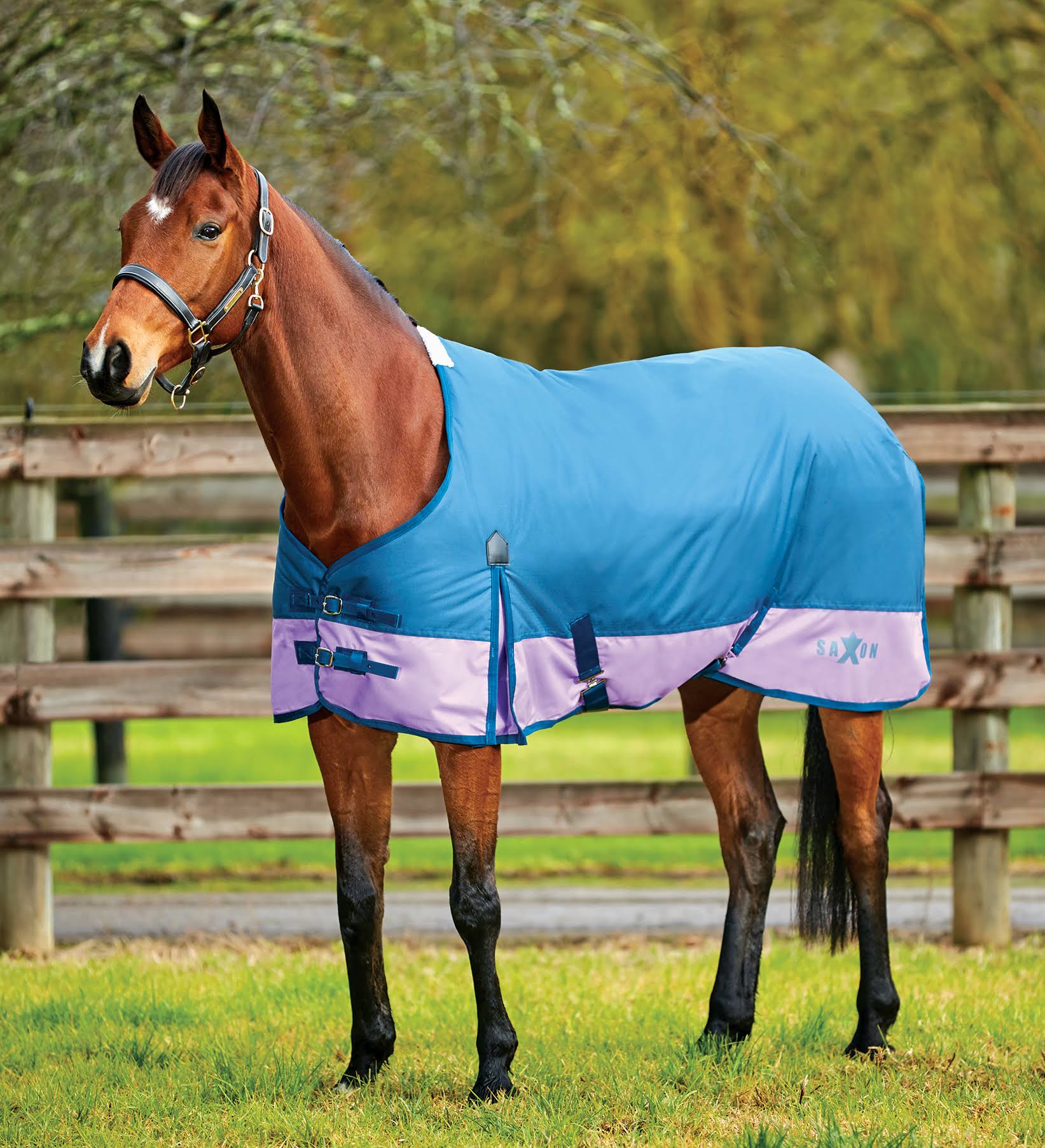 Saxon 600d with Gusset Standard Neck Medium 5AQ6QK_SYEB