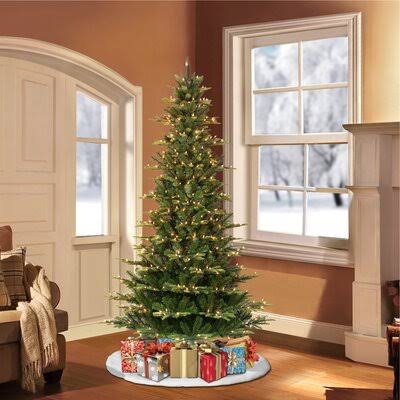 Pre-Lit Slim Aspen Green Fir Artificial Christmas Tree with Warm White Lights The Holiday Aisle Size: 6.5' 2AFVVG_CP8M