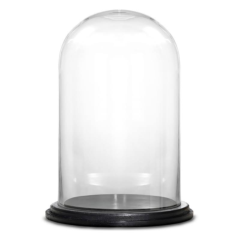 CYSExcel Decorative Glass Dome Bell Jar with Wood FZAW5Y_VXCF