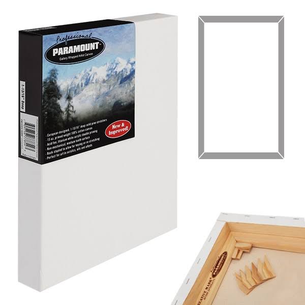 Paramount Professional Gallerywrap Canvas Single 20X20  QB0USQ_JPKA