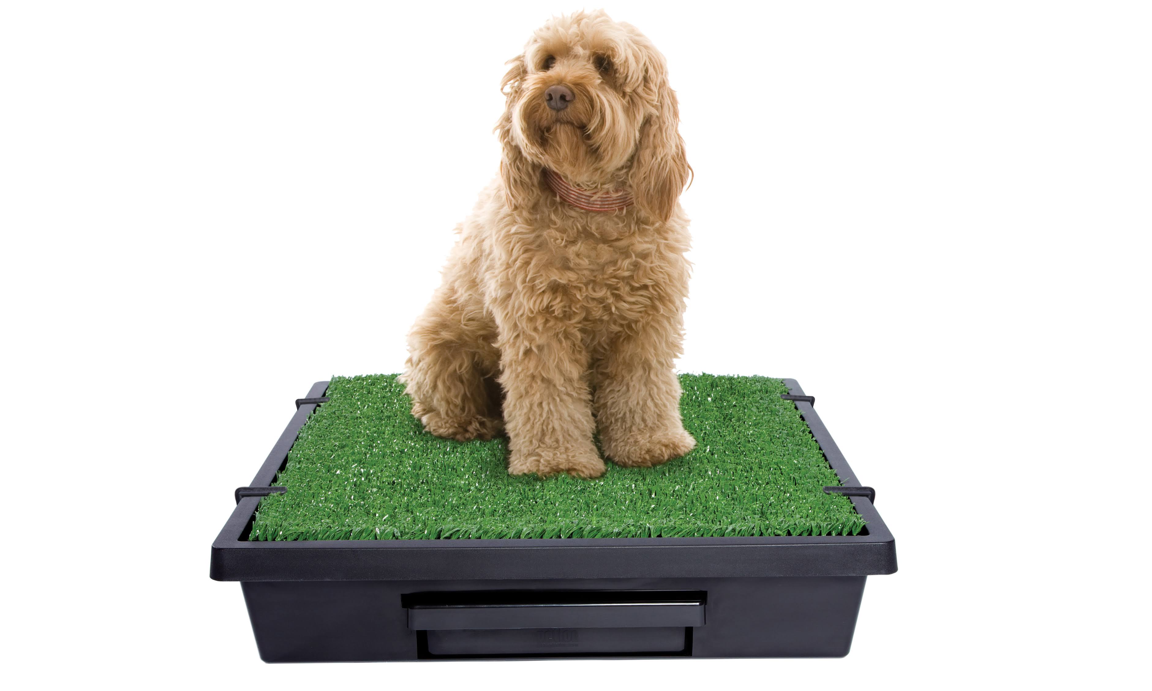 Pet Loo Indoor Yard Training System, Large, Size Large (33-Inch x 33-Inch), SIAEMV_CITE